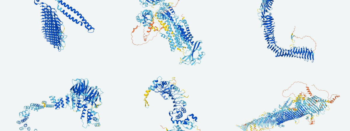 Struktury białek / Źródło: DeepMind