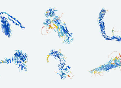 Struktury białek / Źródło: DeepMind
