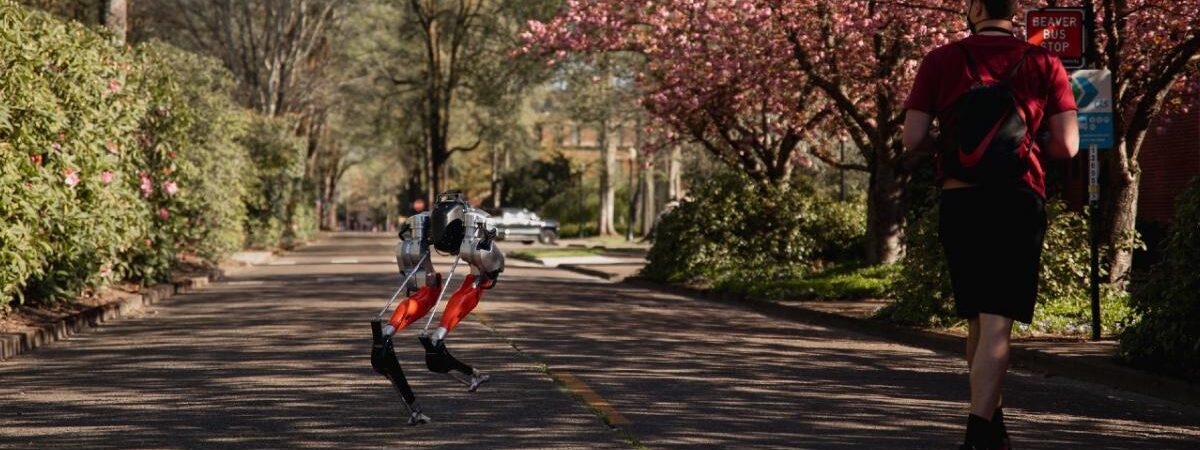 Dwunożny robot Cassie / Źródło: Oregon State University