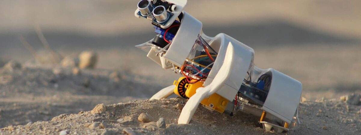 Autonomiczny robot A'seedbot / Źródło: Mazyar Etehadi/Inceptive Mind