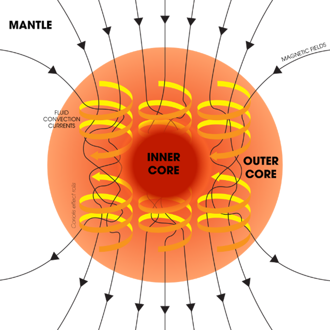 Mechanizm oddziaływania Siły Coriolisa na prądy konwekcyjne w płynnym jądrze / Źródło: https://en.wikipedia.org/wiki/Earth%27s_inner_core#/media/File:Dynamo_Theory_-_Outer_core_convection_and_magnetic_field_geenration.svg
