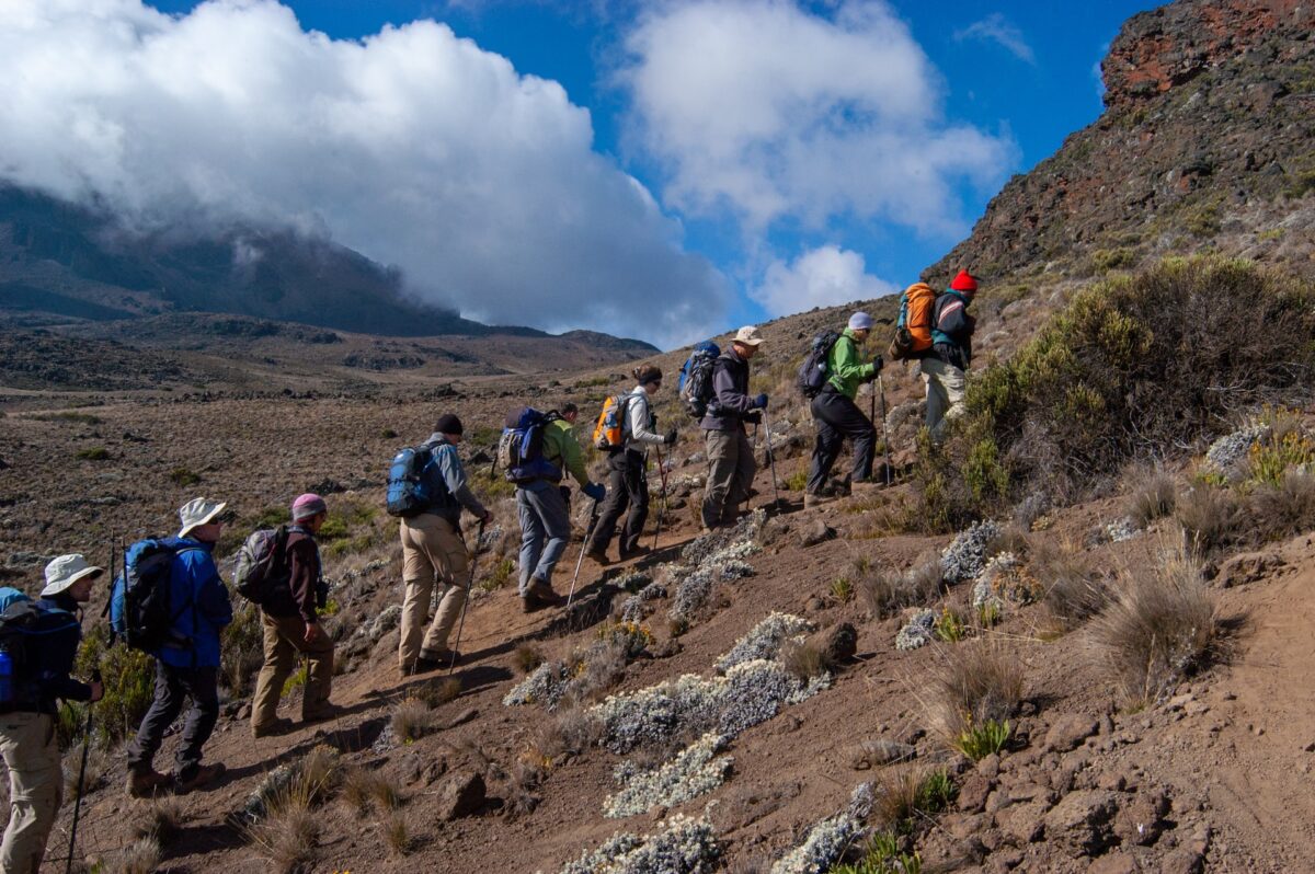 Wspinaczka na Kilimandżaro / Źródło: Unsplash