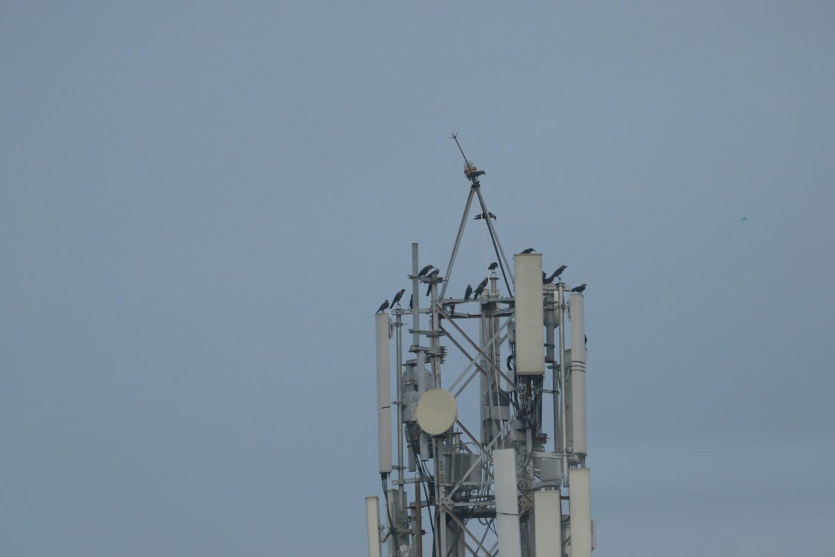 Wieża telekomunikacyjna / Źródło: Unsplash