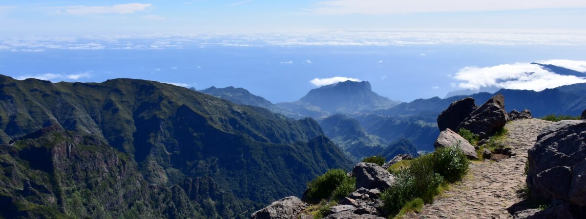 Madeira / Źródło: Unsplash